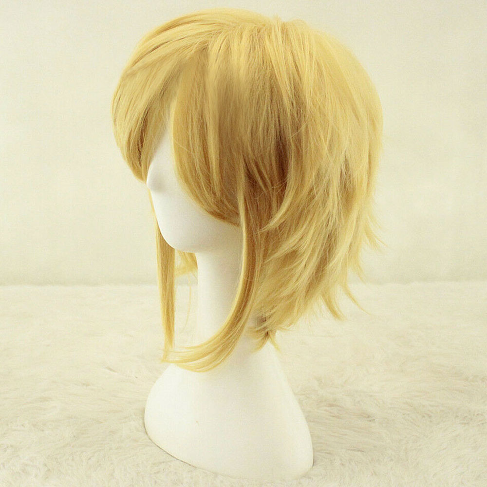 The Legend of Zelda Zeruda no Densetsu Link Golden Cosplay Wig